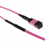 ACT Glasvezel Patchkabel 50/125 OM4(OM3) Polarity B Trunkkabel MTP/MPO Female